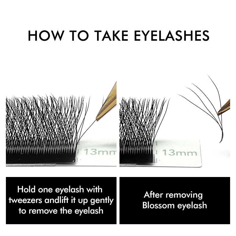 NATUHANA W 型 4D 5D ボリュームまつげエクス - Eyelash Extension For Asian Eyes のレビューと価格