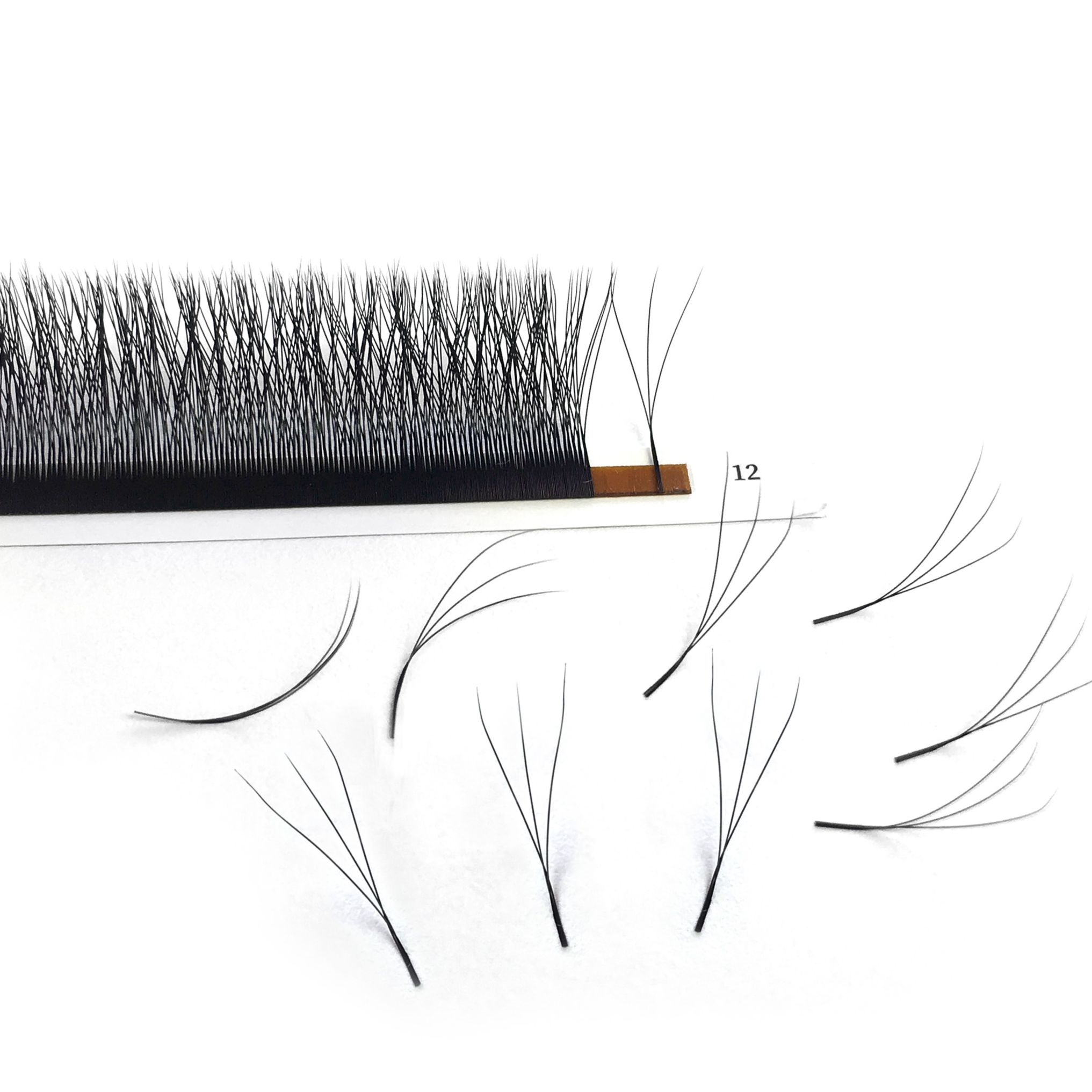 3D W型まつげエクステ プロ仕様 シルク Wスタイル ワイ - Eyelash Extension Human Hair のレビューと価格
